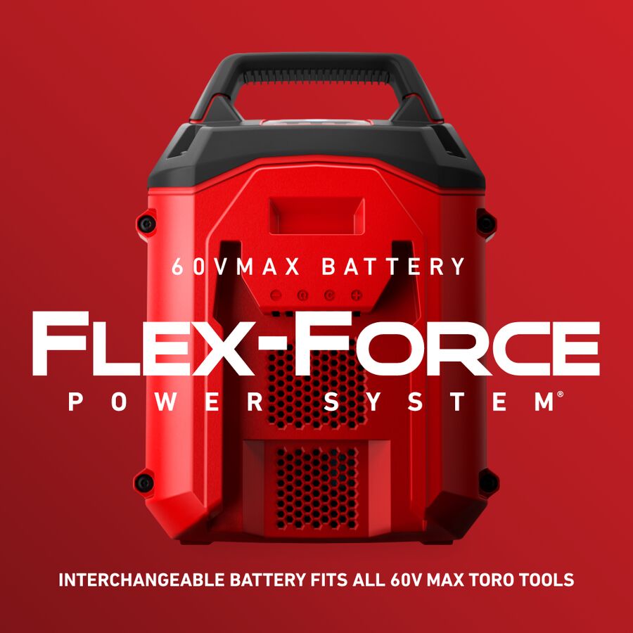 60V Max Flex-Force 10.0 Ah Lithium-Ion Battery 66810